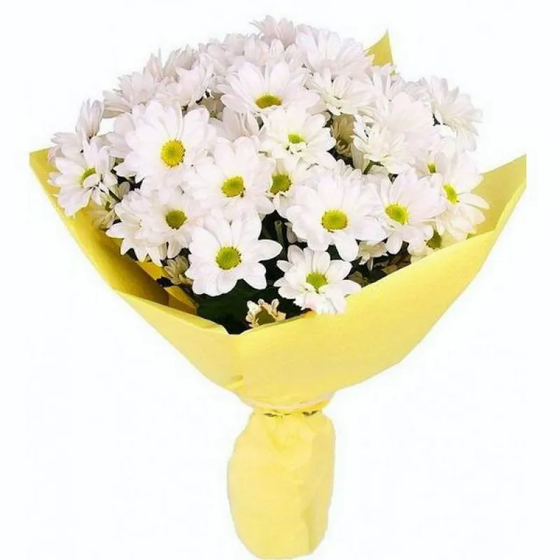 Букет из белых ромашковых хризантем, доставка Петушки